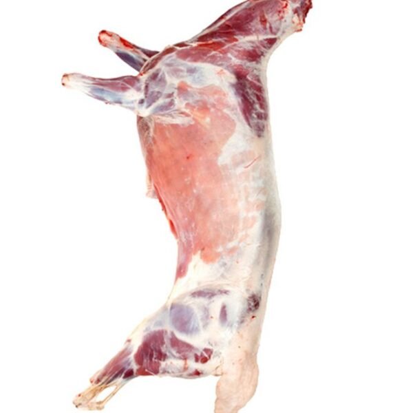 Halal Goat Meat – Rich Flavor, Naturally Lean, 100% Halal-Certified