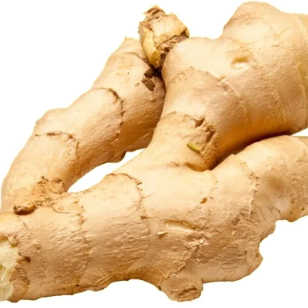 FRESH GINGER (SHIPPING ON THURSDAY)