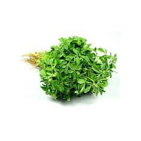 Fenugreek Leaves ( Methi )