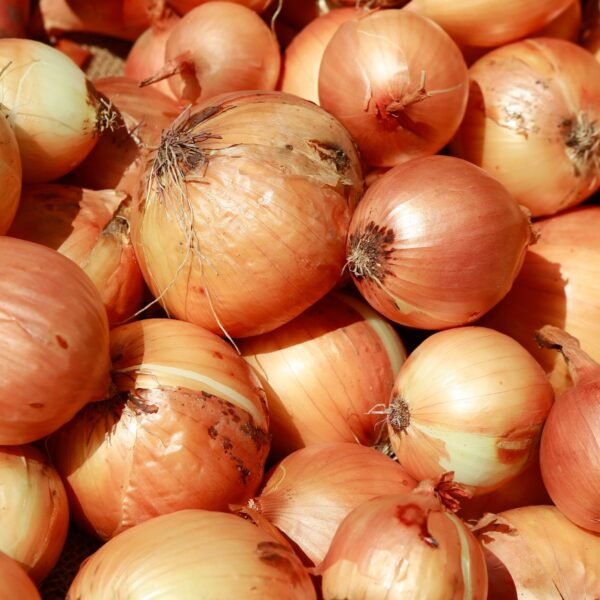 Onions / Cebula