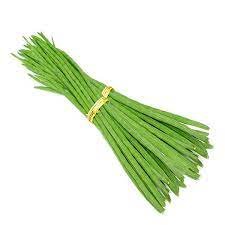 Fresh Drumsticks -green (SHIPPING ON THURSDAY)