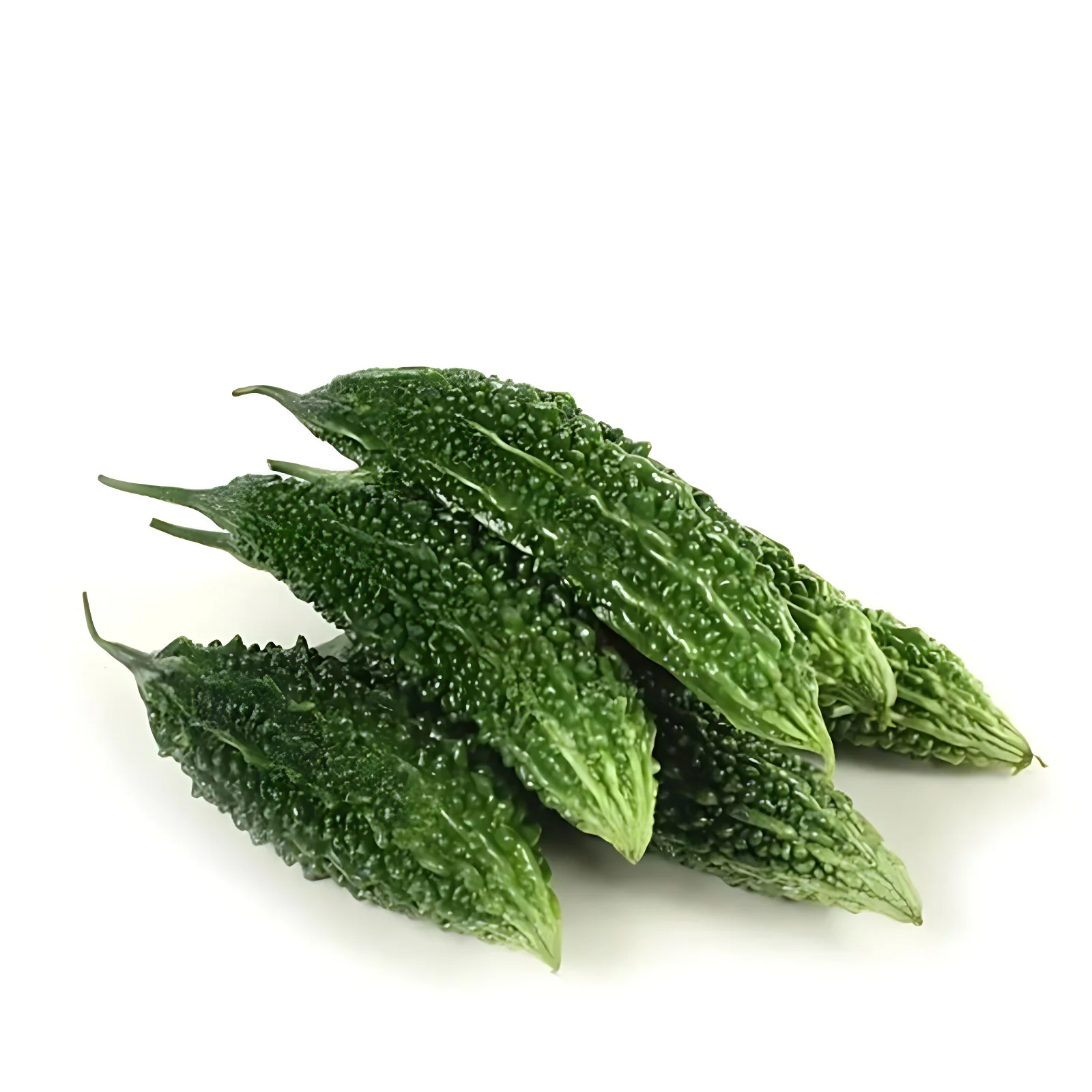 Karela (Bitter Gourd) (SHIPPING ON THURSDAY)